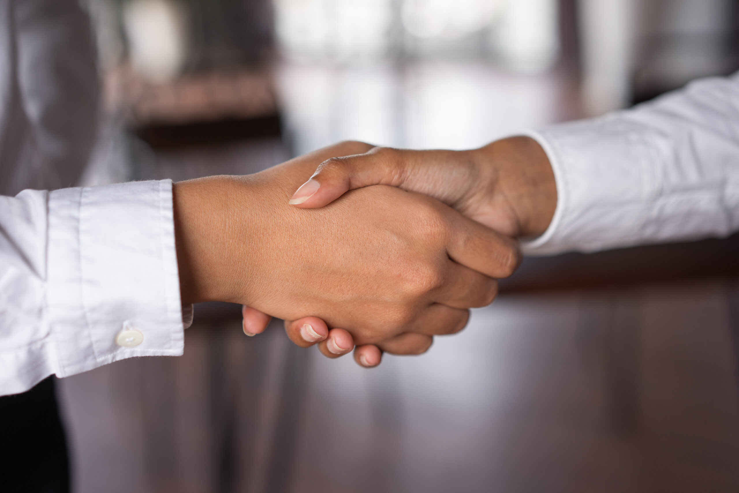 Closeup of two business women shaking hands